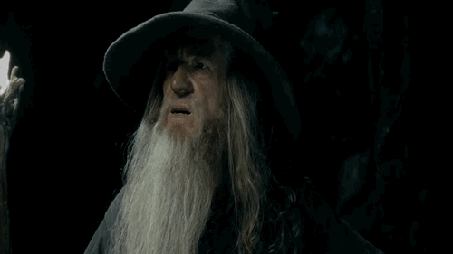 gandalf-i-have-no-memory When I come back home after a hard night of bar crawling