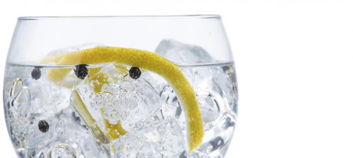 Ginebra y Tonica, para todo la familia !