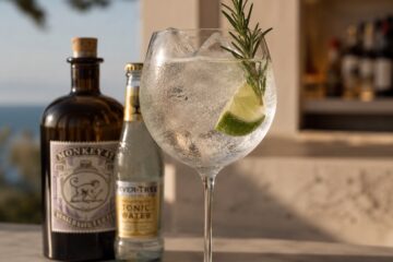 Gin Tonic : recette, dosage parfait et choix du tonic — gin tonic